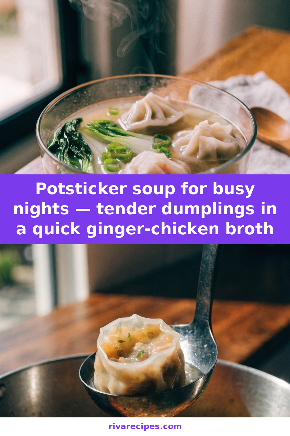 Potsticker soup for busy nights — tender dumplings in a quick ginger-chicken broth Pinterest recipe pin